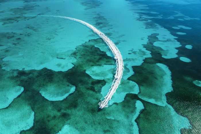 Ocean Cay Marine Reserve